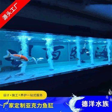 汕頭魚缸定做【汕頭大型魚缸定制廠家】 全國水族館企業名錄 第2張 汕頭魚缸定做【汕頭大型魚缸定制廠家】 汕頭魚缸定做【汕頭大型魚缸定制廠家】 全國水族館企業名錄 第2張