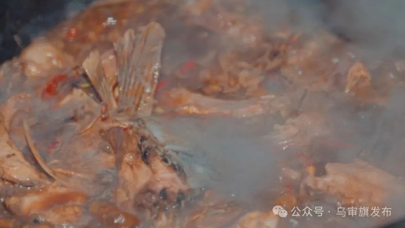 烏審龍魚店【烏審龍魚店在哪里】 烏審龍魚店【烏審龍魚店在哪里】 全國水族館企業(yè)名錄 第1張