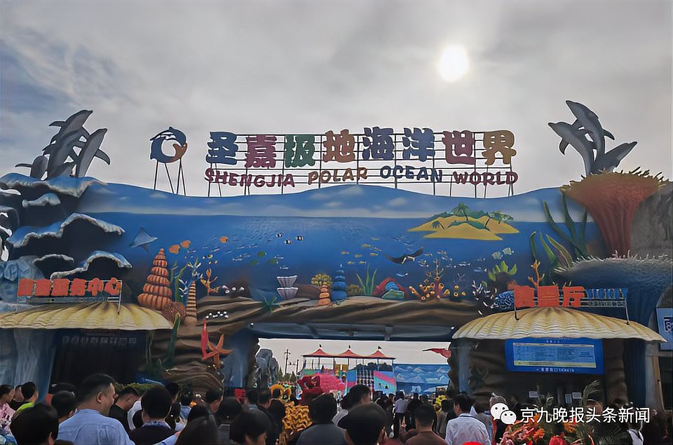 商丘水族店【商丘水族店哪家口碑最好】 商丘水族店【商丘水族店哪家口碑最好】 全國水族館企業(yè)名錄 第9張