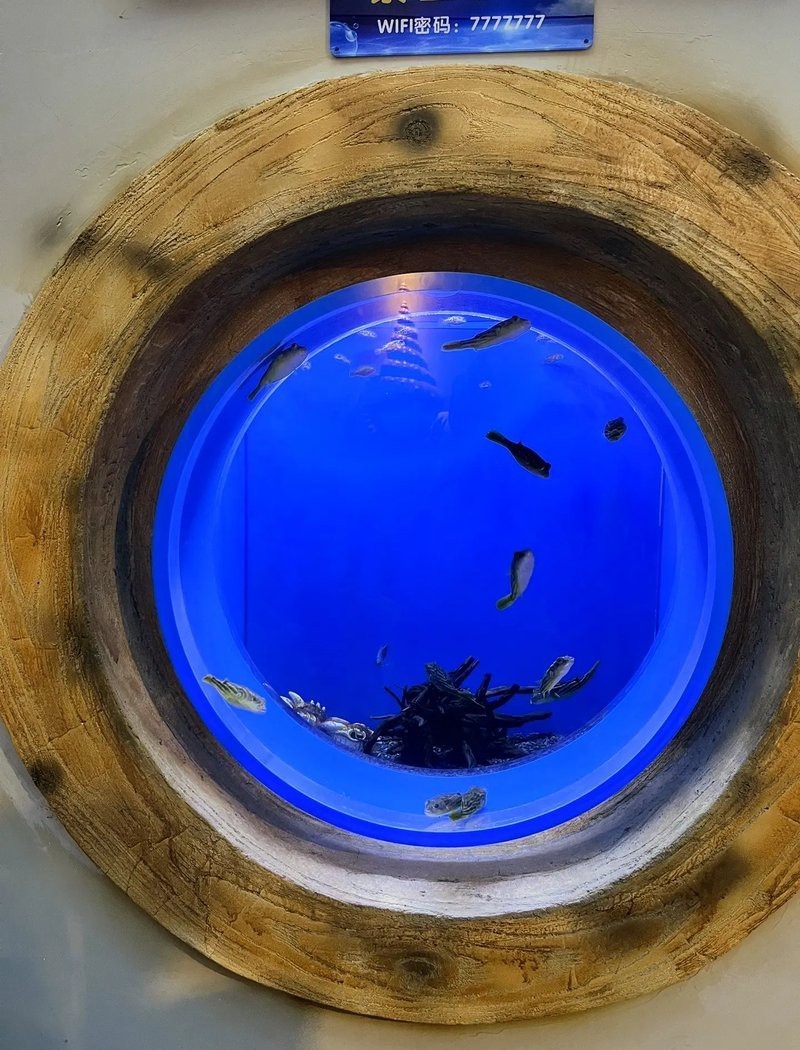 商丘水族店【商丘水族店哪家口碑最好】 商丘水族店【商丘水族店哪家口碑最好】 全國水族館企業(yè)名錄 第1張