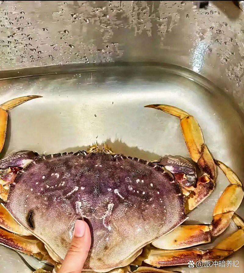 井岡山水族店【井岡山水族店有哪些品牌的水族箱井岡山水族店營業時間】