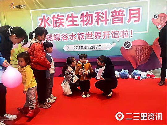 凱里水族店【凱里有哪些特色水族店】