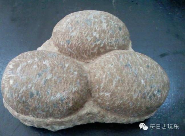恐龍蛋真假對照圖【恐龍蛋化石怎么鑒定】