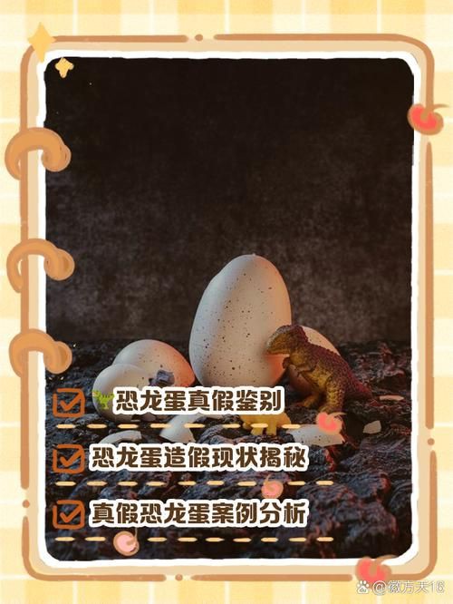 恐龍蛋真假對照圖【恐龍蛋化石怎么鑒定】