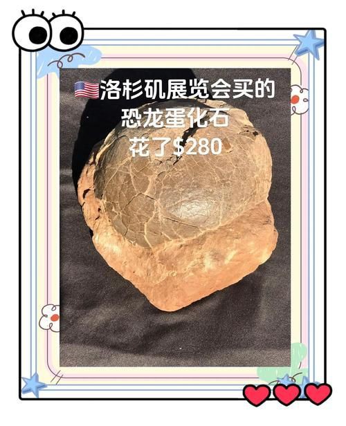 恐龍蛋真假對照圖【恐龍蛋化石怎么鑒定】