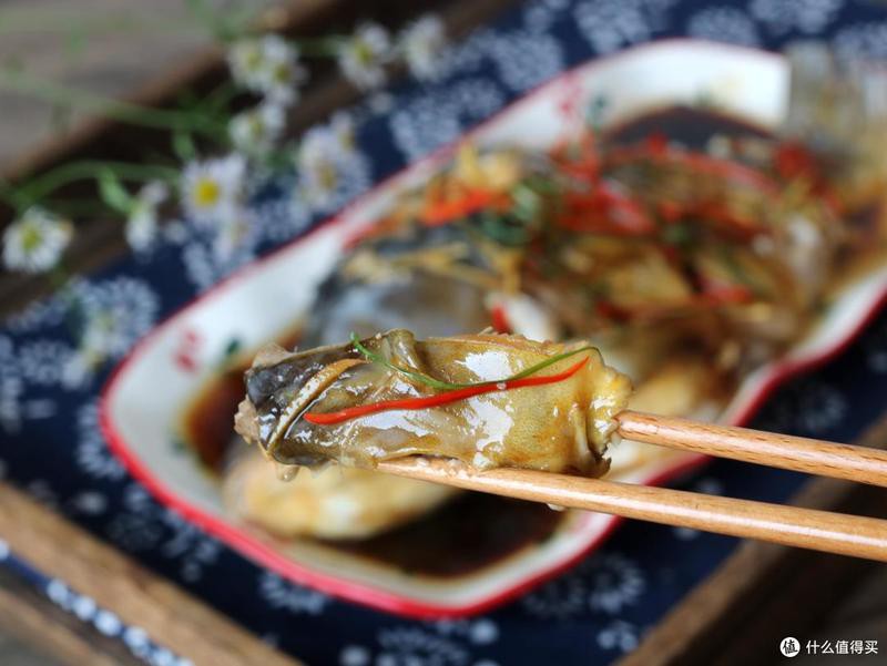 三道鱗魚價格表2025【2025年三道鱗魚市場價格走勢預判（2025q4）】 三道鱗魚價格表2025【2025年三道鱗魚市場價格走勢預判（2025q4）】 龍魚論壇 第3張