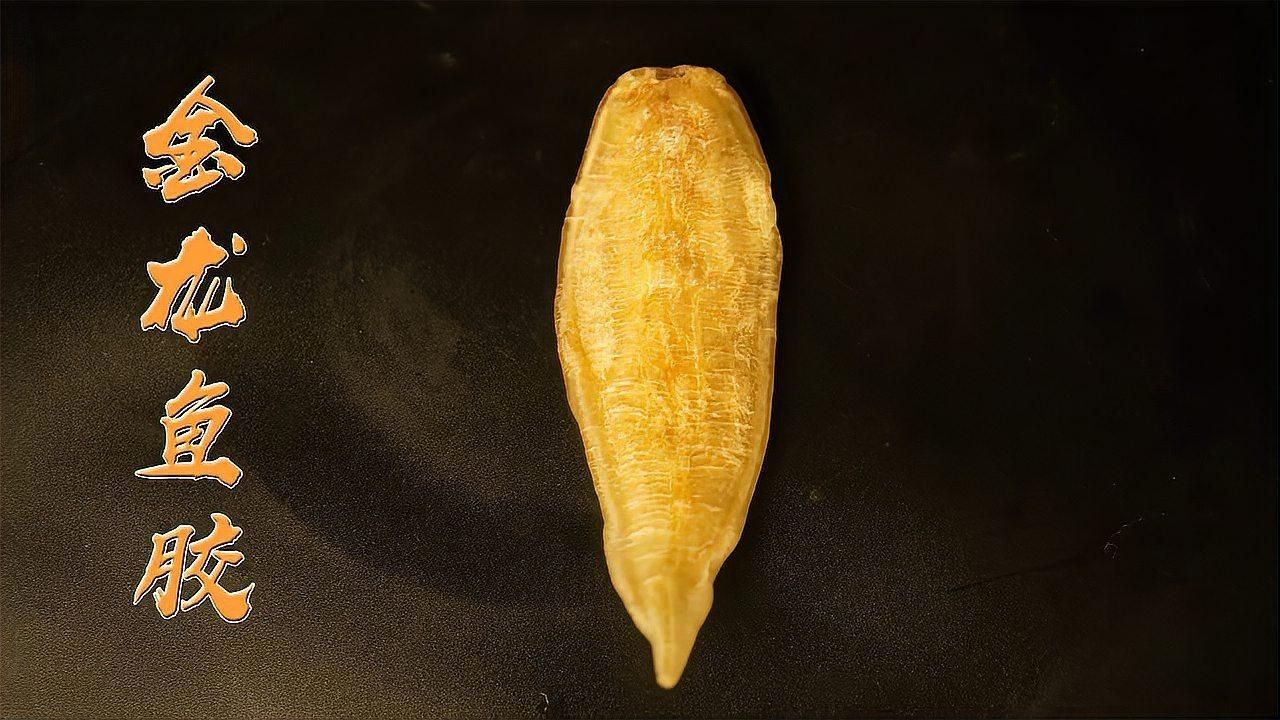 小金龍魚膠的吃法大全【小金龍魚膠怎么做？】