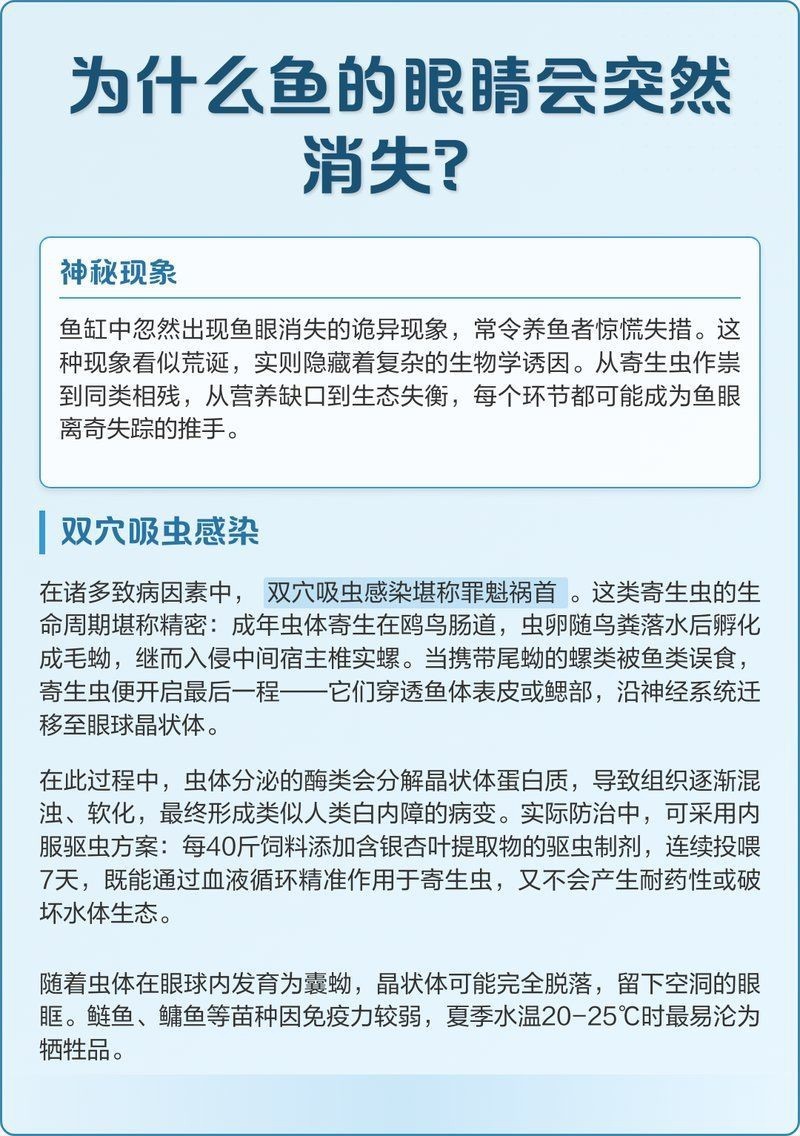 魚(yú)的眼睛掉了預(yù)示著什么【關(guān)于魚(yú)眼脫落的問(wèn)題】