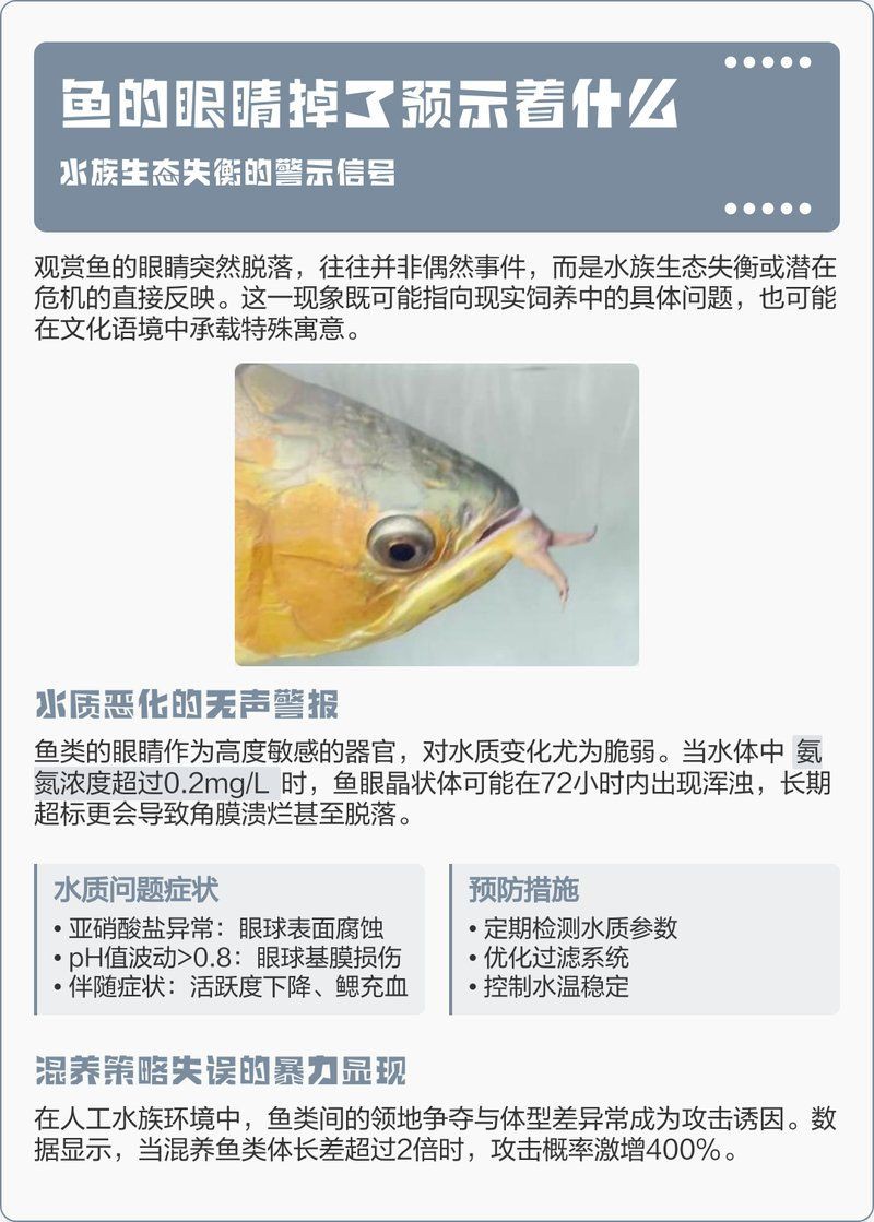 魚(yú)的眼睛掉了預(yù)示著什么【關(guān)于魚(yú)眼脫落的問(wèn)題】