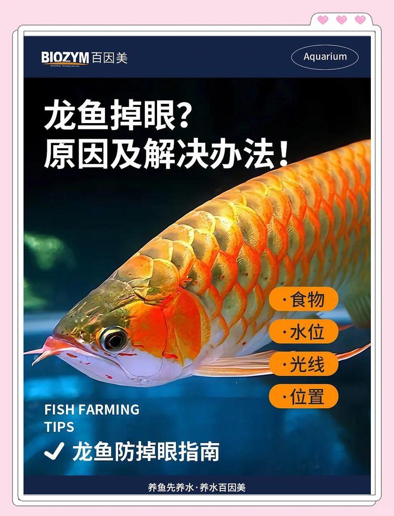 魚的眼睛掉了預示著什么【關于魚眼脫落的問題】