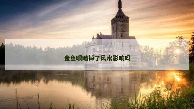魚的眼睛掉了預示著什么【關于魚眼脫落的問題】