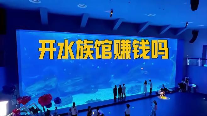 開水族店賺錢嗎【《開水族店賺錢嗎》開水族店具有一定的盈利潛力，但也面臨諸多挑戰】