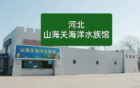 山海關水族店【山海關水族館哪家口碑最好】 山海關水族店【山海關水族館哪家口碑最好】 全國水族館企業名錄 第1張