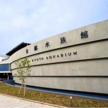 日土水族店【別人家的水族店介紹一下】 日土水族店【別人家的水族店介紹一下】 全國水族館企業名錄 第3張