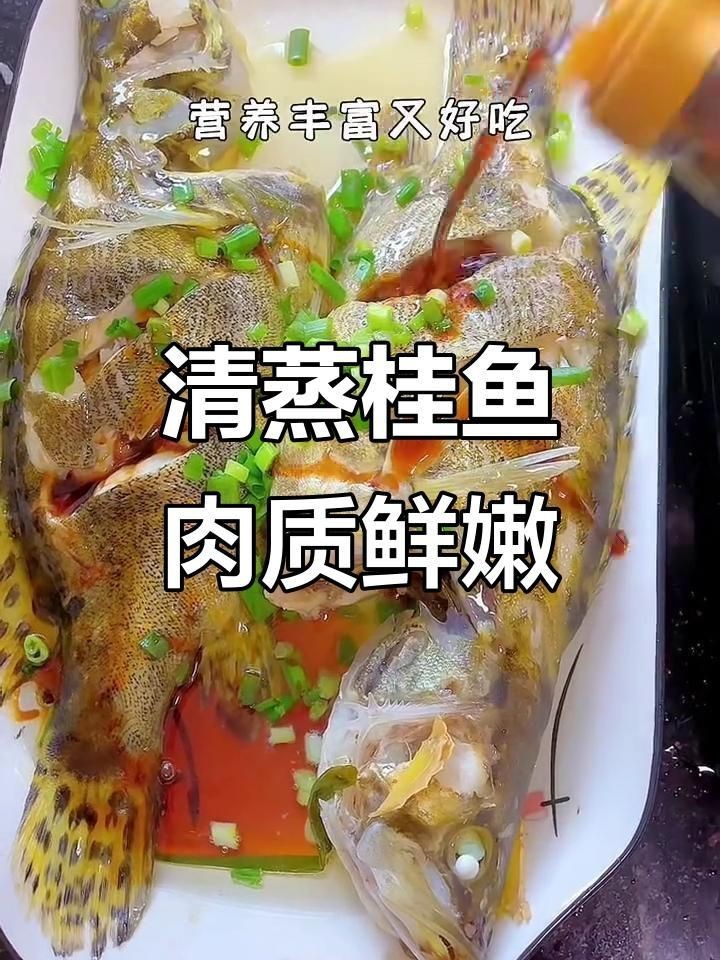 桂魚的最佳烹飪方法有哪些？【《桂魚的最佳烹飪方法》】 桂魚的最佳烹飪方法有哪些？【《桂魚的最佳烹飪方法》】 龍魚百科 第2張