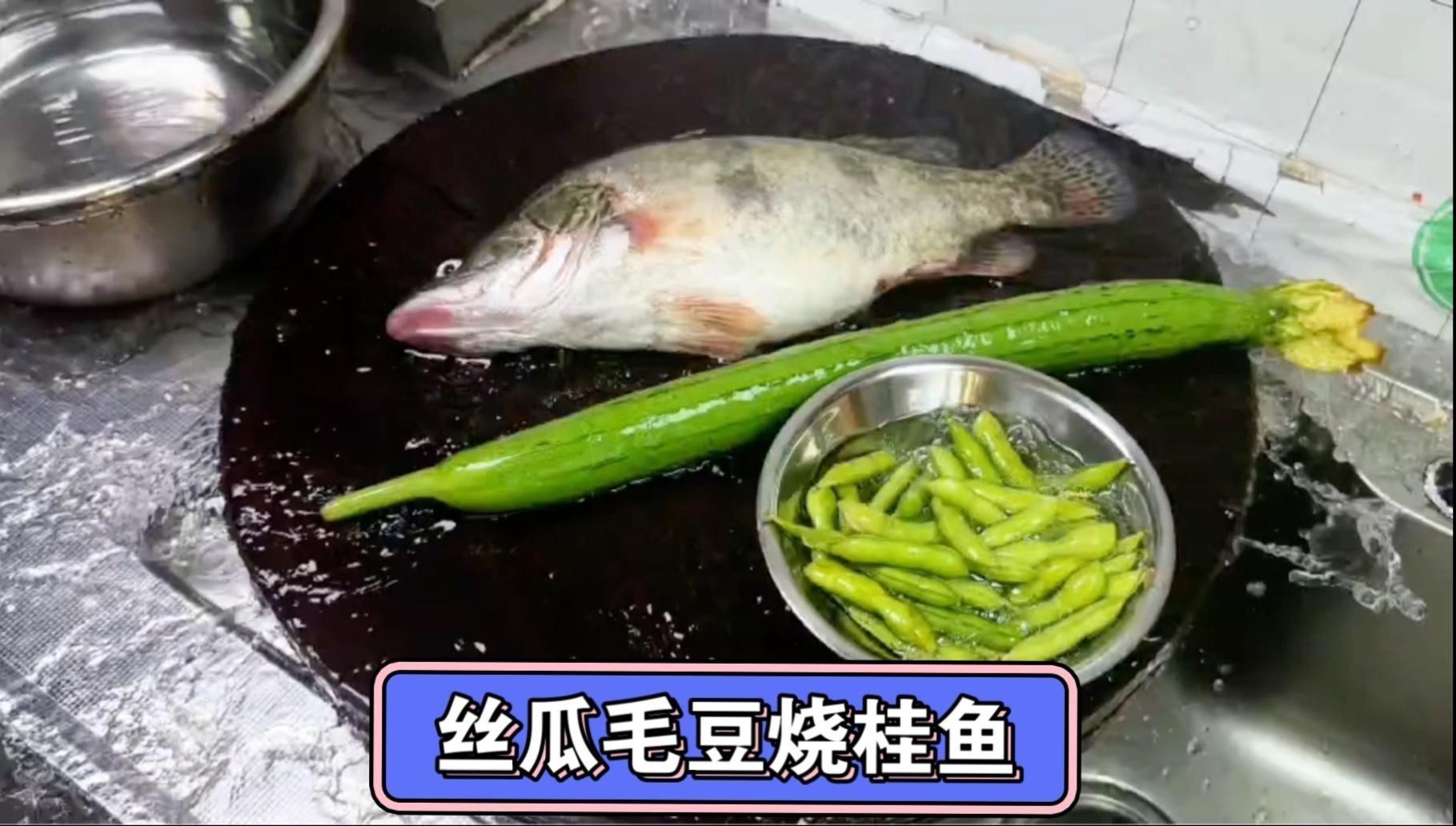 桂魚的最佳烹飪方法有哪些？【《桂魚的最佳烹飪方法》】 桂魚的最佳烹飪方法有哪些？【《桂魚的最佳烹飪方法》】 龍魚百科 第1張