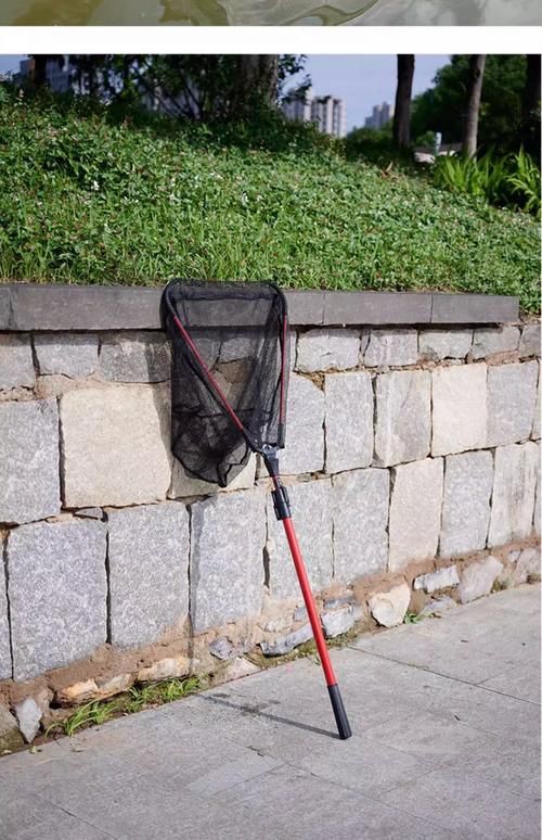 撈魚網兜的照片大全【京東魚缸網撈品牌排行榜京東魚缸網撈品牌排行榜】