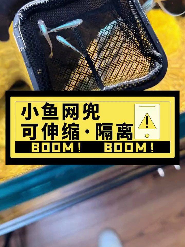 撈魚網兜的照片大全【京東魚缸網撈品牌排行榜京東魚缸網撈品牌排行榜】