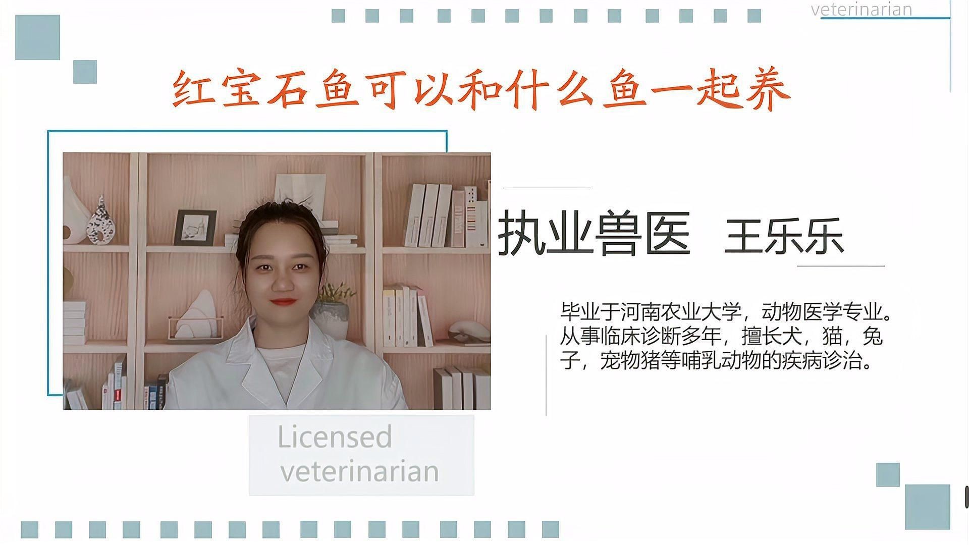 紅寶石魚和什么魚混養【紅寶石魚可以和什么魚一起養】