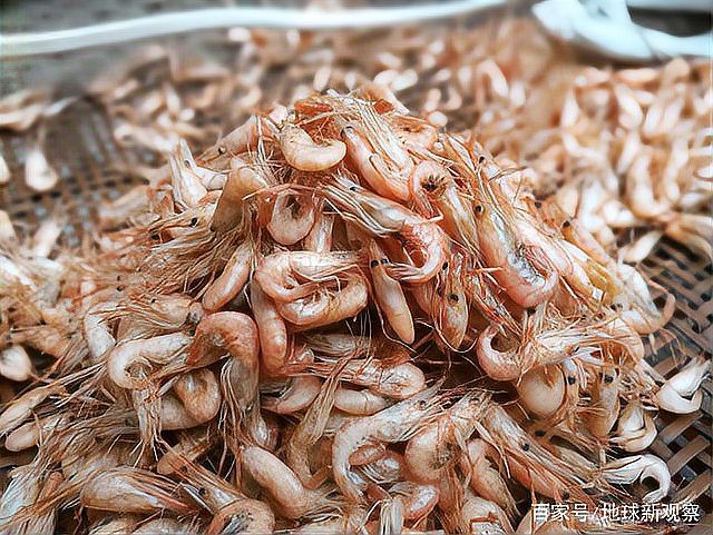 東海漁場分布圖【地球新觀察】