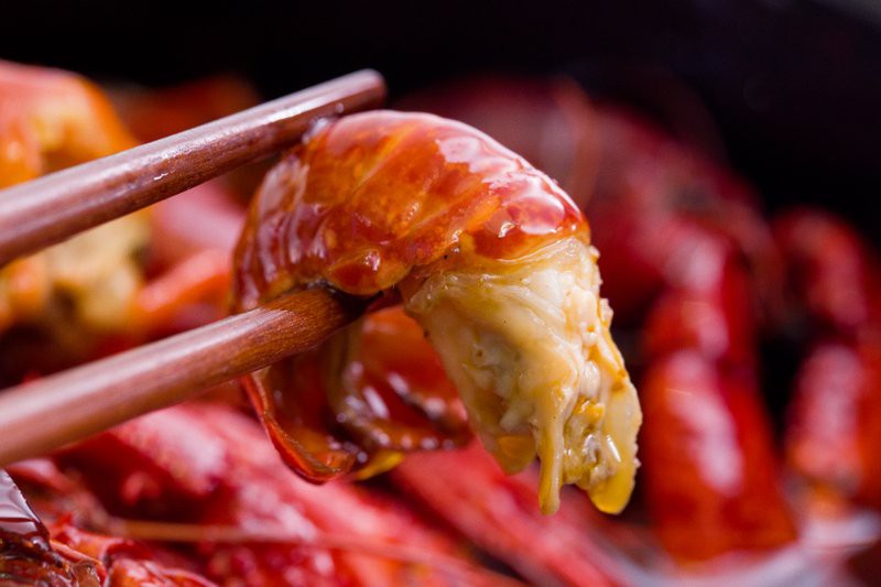 興文龍魚店【興文縣有沒有龍魚店】 興文龍魚店【興文縣有沒有龍魚店】 全國水族館企業名錄