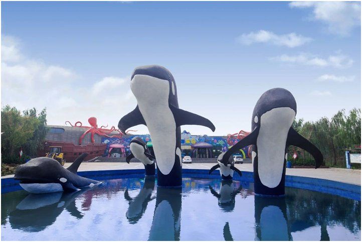 連云港水族館【連云港海底世界】