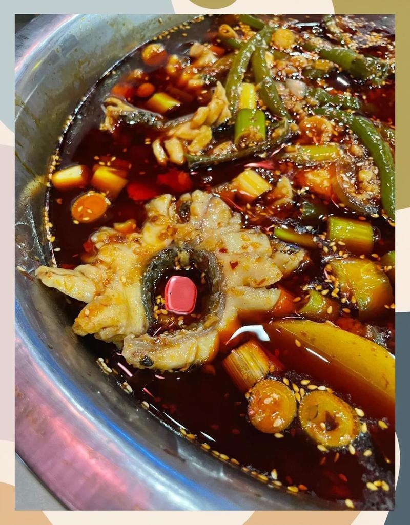 南充龍魚店【南充哪家龍魚店性價比最高】