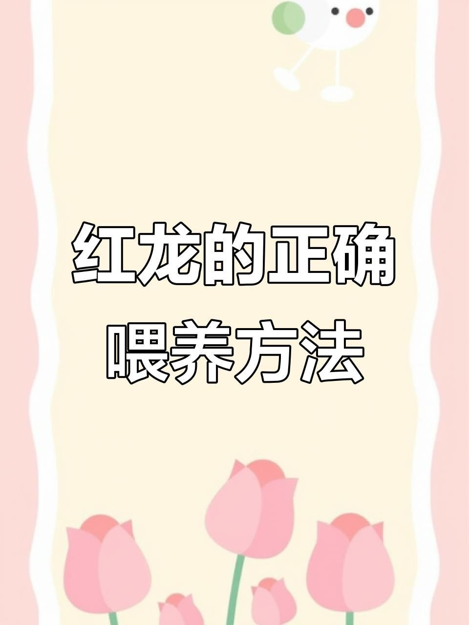 40公分紅龍魚多久喂一次？【40公分紅龍魚喂食頻率探討】 40公分紅龍魚多久喂一次？【40公分紅龍魚喂食頻率探討】 龍魚百科 第5張