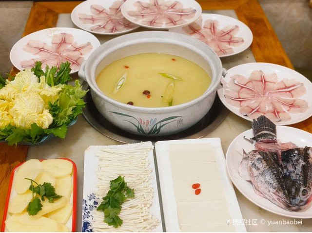 <strong><mark>江油</mark></strong>龍魚店【<strong><mark>江油</mark></strong>龍魚店哪家口碑最好】