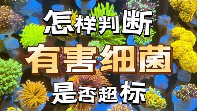 如何判斷自己是否感染了魚類細菌？【如何判斷自己是否感染了魚類細菌】