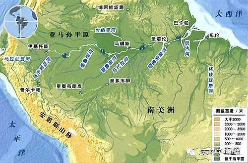 電鰻vs食人魚【電鰻與食人魚的關系】 電鰻vs食人魚【電鰻與食人魚的關系】 龍魚論壇 第1張