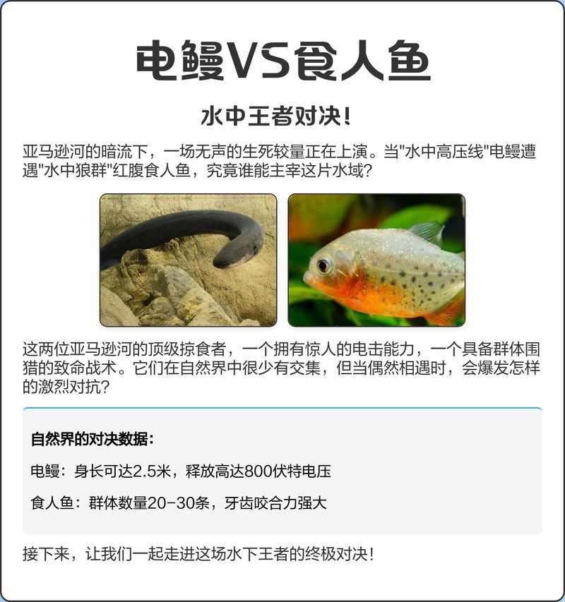電鰻vs食人魚【電鰻與食人魚的關系】 電鰻vs食人魚【電鰻與食人魚的關系】 龍魚論壇 第2張