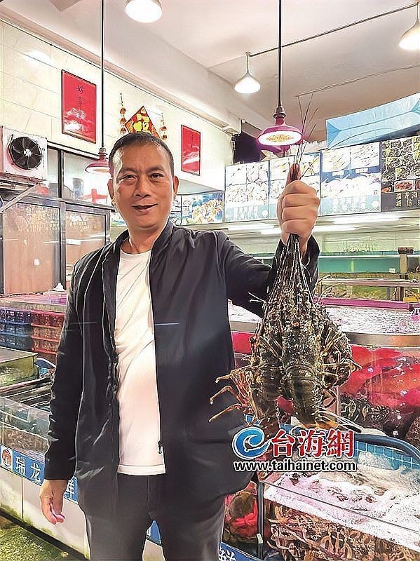 青龍魚多少錢一條【小青龍一般多少錢一只】 龍魚百科 第3張 青龍魚多少錢一條【小青龍一般多少錢一只】 青龍魚多少錢一條【小青龍一般多少錢一只】 龍魚百科 第3張