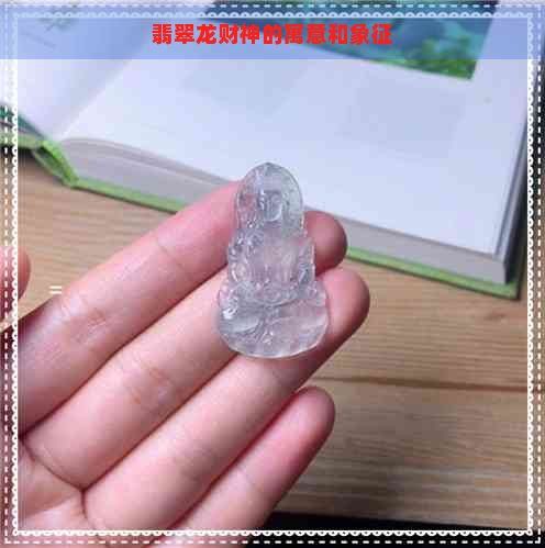招財龍是什么魚【招財龍魚在風水上有福星高照、吉祥如意與觀賞價值的象征】