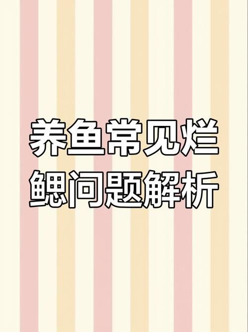 提供幾張菌鰓和蟲鰓的圖片對比【《菌鰓與蟲鰓圖片對比摘要》】