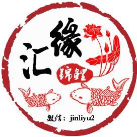魚身上破皮了會自愈嗎【魚受傷后能自愈嗎】