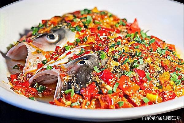 新到家的小虎魚 鯉魚嘴真的有人用過嗎【關于“鯉魚嘴”的傳說】 龍魚百科 鯉魚嘴真的有人用過嗎【關于“鯉魚嘴”的傳說】 鯉魚嘴真的有人用過嗎【關于“鯉魚嘴”的傳說】 龍魚百科