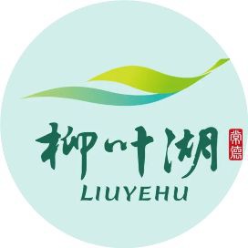 魚化龍辟邪還是招鬼【魚化龍：傳統紋樣的深層寓意與特色魚化龍寓意與現代啟示】 魚化龍辟邪還是招鬼【魚化龍：傳統紋樣的深層寓意與特色魚化龍寓意與現代啟示】 龍魚百科 第16張