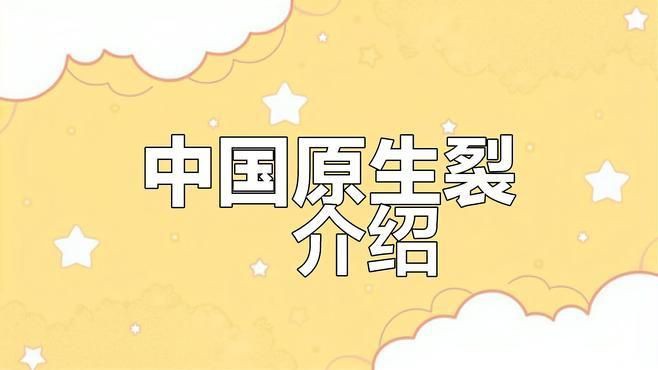 鱲魚品種大全【烏云快走開溪流三兄弟大揭秘:馬口、寬鰭鱲與長鰭鱲如何區分】