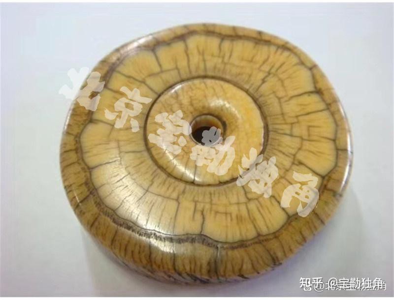 三種人不宜戴魚(yú)牙【三種人不宜戴魚(yú)牙飾品的人不宜戴陶瓷魚(yú)牙飾品選擇】 三種人不宜戴魚(yú)牙【三種人不宜戴魚(yú)牙飾品的人不宜戴陶瓷魚(yú)牙飾品選擇】 龍魚(yú)論壇 第2張