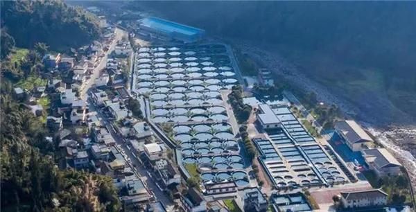 雅安魚缸批發市場【雅安市人民政府打造升級版外貿助力“五雅”特色農業高質量發展】 雅安魚缸批發市場【雅安市人民政府打造升級版外貿助力“五雅”特色農業高質量發展】 全國水族館企業名錄 第1張