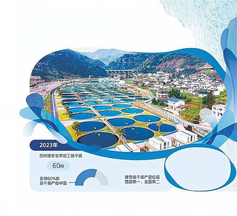 雅安魚缸批發市場【雅安市人民政府打造升級版外貿助力“五雅”特色農業高質量發展】 雅安魚缸批發市場【雅安市人民政府打造升級版外貿助力“五雅”特色農業高質量發展】 全國水族館企業名錄 第6張