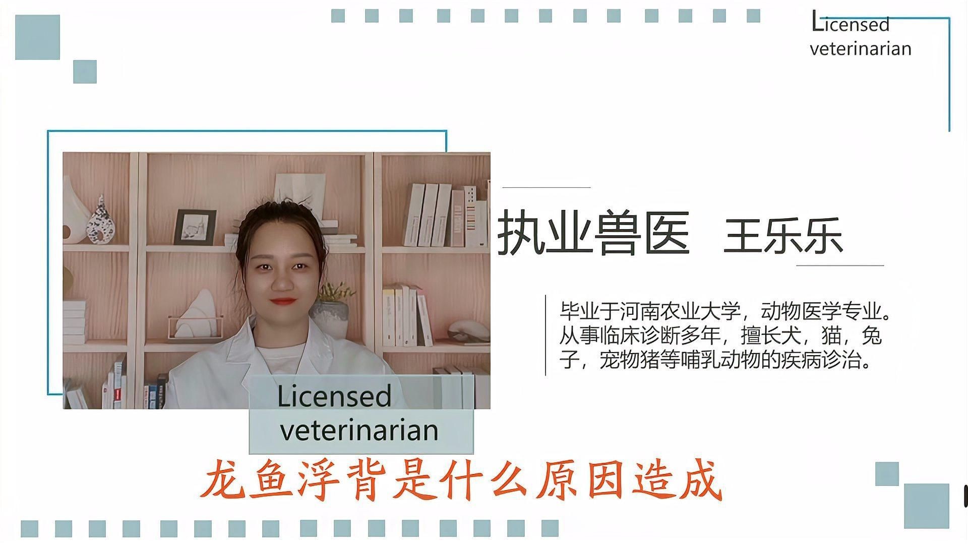 如何判斷龍魚浮背是否嚴重？【賣藝的老青年龍魚浮背的原因及應對方法】
