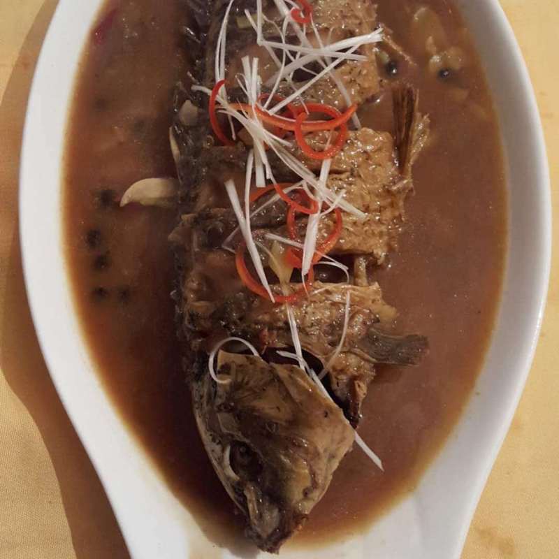 雙塔龍魚店【雙塔龍魚店即朝陽市雙塔區龍祥居龍魚會館的觀賞魚零售業務】