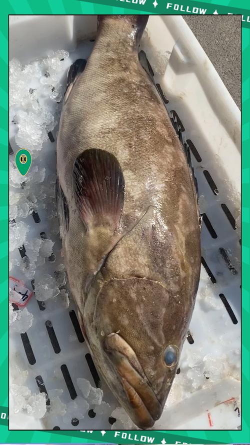 雙塔龍魚店【雙塔龍魚店即朝陽市雙塔區龍祥居龍魚會館的觀賞魚零售業務】