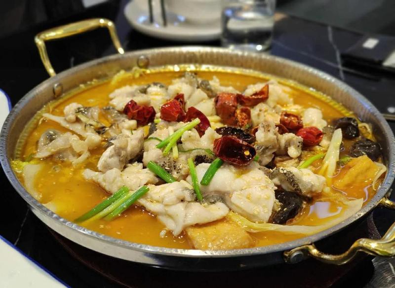 雙塔龍魚店【雙塔龍魚店即朝陽市雙塔區龍祥居龍魚會館的觀賞魚零售業務】