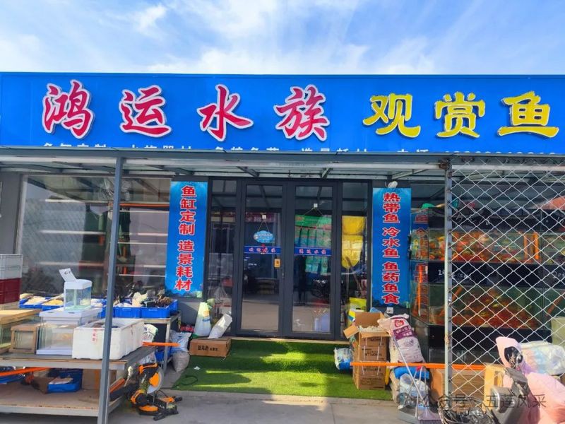 五蓮水族店【五蓮縣水族館哪家好】