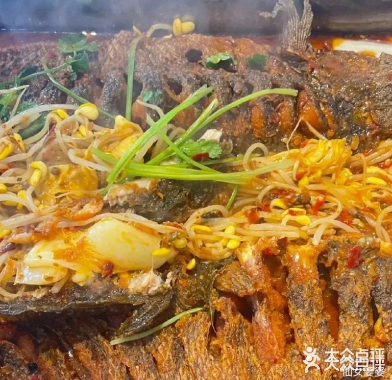 北湖龍魚店【北湖龍魚店主營高端龍魚及各類配魚品種低價策略吸引顧客】 北湖龍魚店【北湖龍魚店主營高端龍魚及各類配魚品種低價策略吸引顧客】 全國水族館企業名錄 第2張