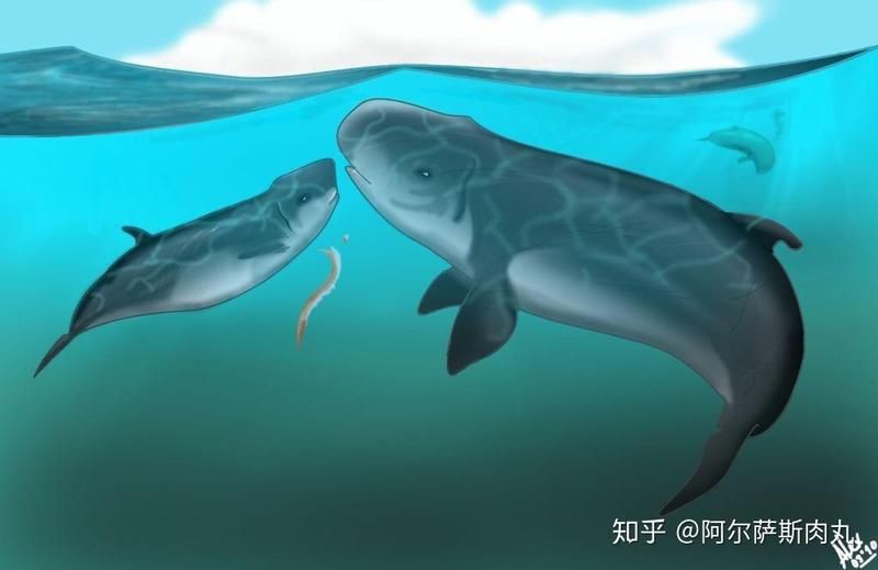 梅氏利維坦鯨【史前最恐怖的海洋暴君梅氏利維坦鯨,專門捕食遠古鯊魚!】