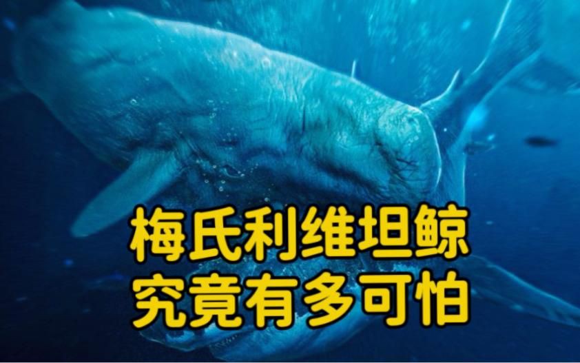 梅氏利維坦鯨【史前最恐怖的海洋暴君梅氏利維坦鯨,專門捕食遠古鯊魚!】